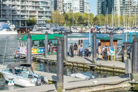  固蘭湖島市集 Granville Island Public Market-溫哥華一日遊推薦景點